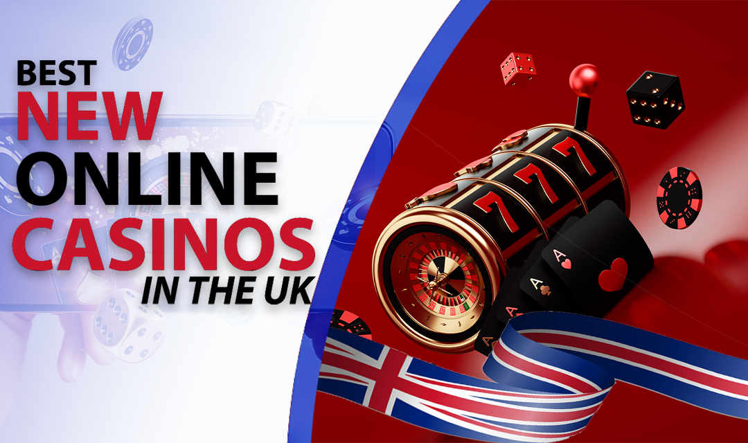 Discover WildRobin Casino & Sportsbook Your Premier Gaming Destination