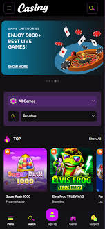 Understanding Casiny Login Your Gateway to Exciting Online Gaming